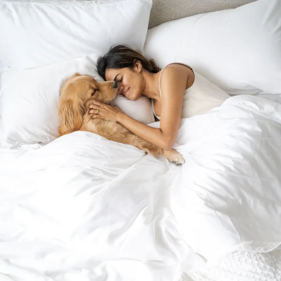 Bamboo Bed Sheet Set Ethical Earth Store