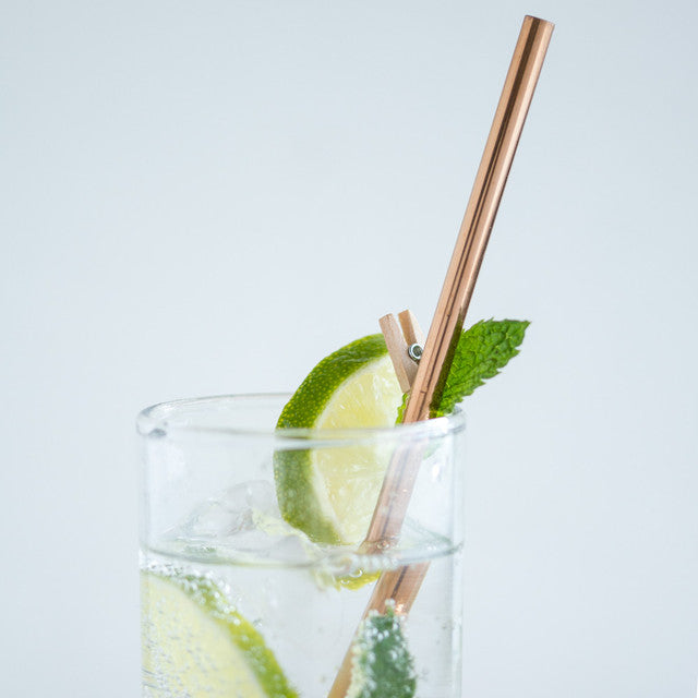 Eco-Friendly Reusable Straws - 2 Piece Ethical Earth Store