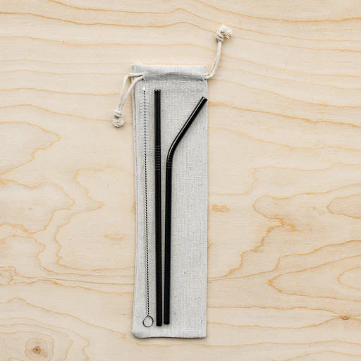 Eco-Friendly Reusable Straws - 2 Piece Ethical Earth Store