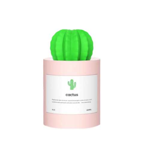 Cactus Shaped Essential Oil Diffuser Ethical Earth Store