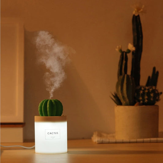 Cactus Shaped Essential Oil Diffuser Ethical Earth Store
