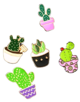 Cute Succulent Pin Ethical Earth Store