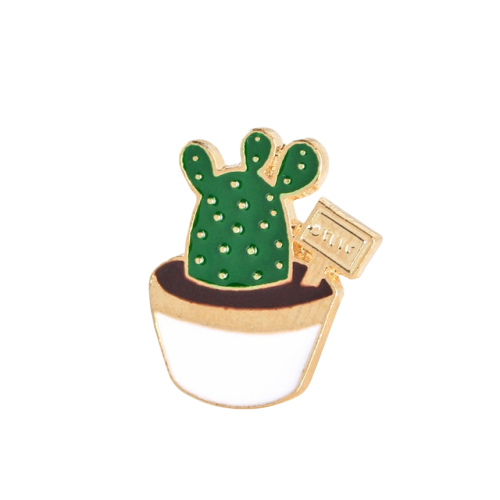 Cute Succulent Pin