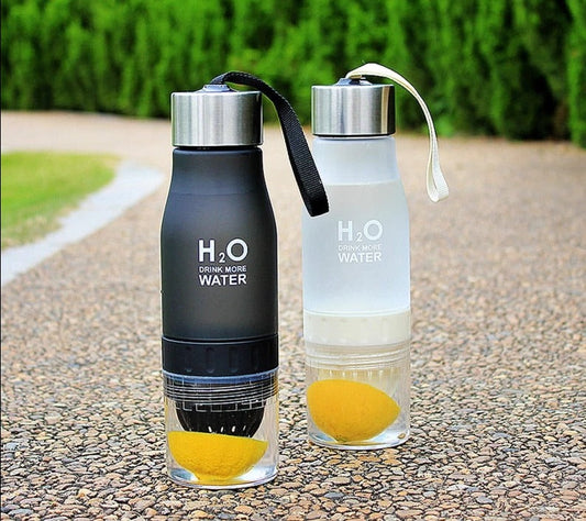H20 Fruit Infuser Water Bottle Ethical Earth Store