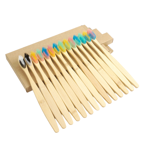 Limited Edition Bamboo Toothbrush - 10 Pieces Ethical Earth Store