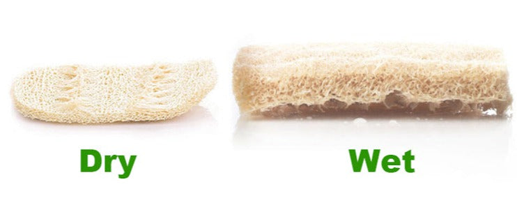 Natural Kitchen Loofah