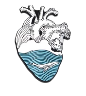 Ocean Anatomical Heart Pin Set